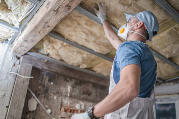 Best Commercial Insulation in Tupelo, MS