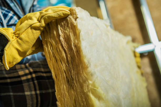 Best DIY Insulation Kits and Guidance in Tupelo, MS