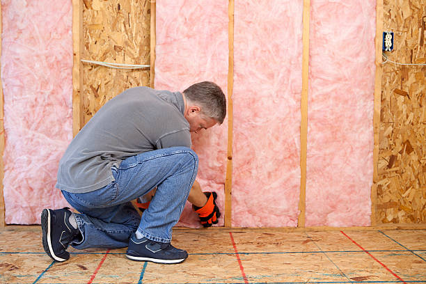 Best Cellulose Insulation in Tupelo, MS